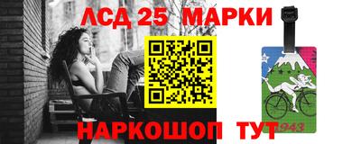 Альфа ПВП Камышлов