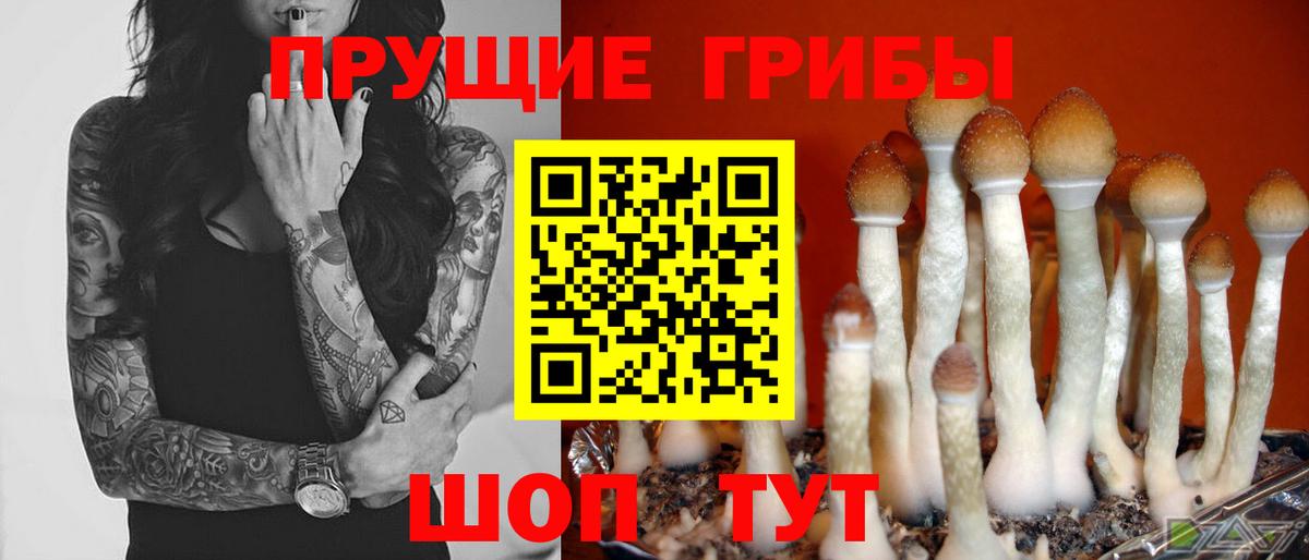 Конаково  Гашиш  Канабис  NBOMe  Меф МЯУ МЯУ   АМФЕТАМИН кристаллы  Каннабис  Cocaine  Вход с VPN  Гашиш 